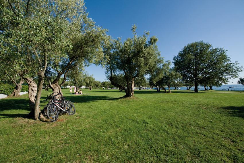 Vacanceselect Premium Lodge Polari Ρόβινι Εξωτερικό φωτογραφία